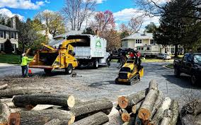 Best Firewood Processing and Delivery  in Pine Lawn, MO